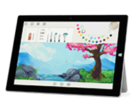 紫阳Surface 无法开启、Windows 无法启动或电池无法充电